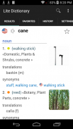 English Spanish Free Dictionary screenshot 3