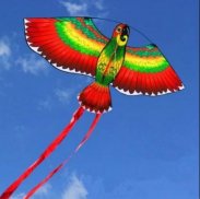 Beautiful Kites screenshot 5