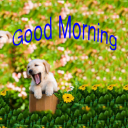 Good Morning Weekly Greetings