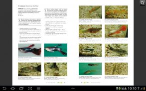 Fish Diseases screenshot 5