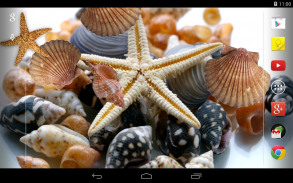 Sea shells Live Wallpaper screenshot 5