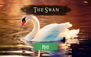 The Swan screenshot 1