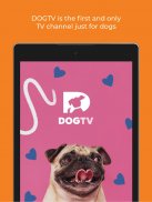 DOGTV: Television for dogs screenshot 8