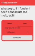 YTubeDownloader screenshot 2