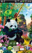 Panda Paradise Live Wallpaper screenshot 0