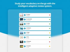 Verbling - Learn Languages screenshot 4