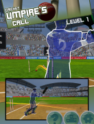 Cricket LBW - Umpire's Call screenshot 1