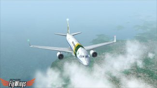 Weather Flight Sim Viewer screenshot 0