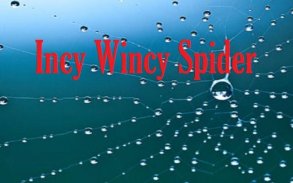 Kids Nursery Rhyme Incy Wincy Spider screenshot 2