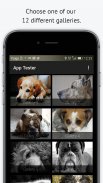 Dog images 2017 🐕 screenshot 6