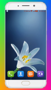 Flower Wallpaper screenshot 15