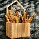 craft sticks