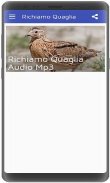 Quail call screenshot 0