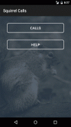 Squirrel Calls screenshot 0