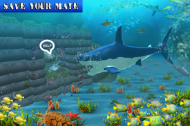 Big Shark Vs Small Sharks screenshot 5