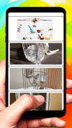 Bird cage design ( offline ) screenshot 4