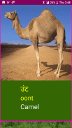 Learn Marathi Wildlife and Body Parts Names screenshot 11