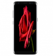 AMAZING 4K FLOWERS WALLPAPER screenshot 5