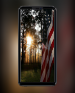 American Flag Wallpapers and Backgrounds screenshot 2