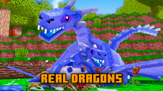 Dragons mods for MCPE - DraMo screenshot 2