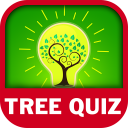 Tree Quiz Game - 2020 Icon