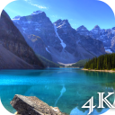 4K Live Wallpapers Icon