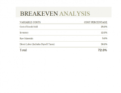 Income Statement Templates screenshot 15