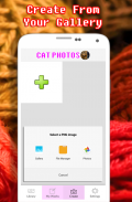 Cat Photography Coloring Book - Color By Number screenshot 0