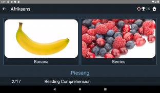 Afrikaans Language Tests screenshot 0