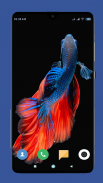 Betta Fish Wallpaper HD screenshot 14