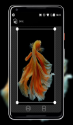 Betta Fish Wallpaper screenshot 3