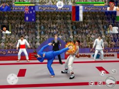 Tag tim Karate melawan Tiger dunia Kung Fu raja screenshot 5
