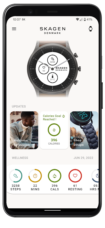 skagen connected apk