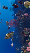 Ocean Aquarium screenshot 11