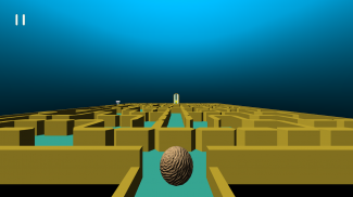 Labyrinth 3D Maze screenshot 0