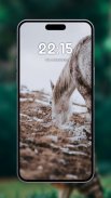 Horse wallpapers screenshot 2