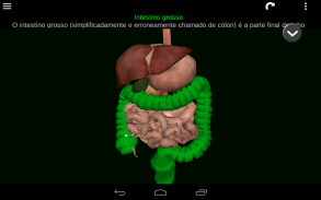 Órgãos Internos em 3D (Anatomia) screenshot 19