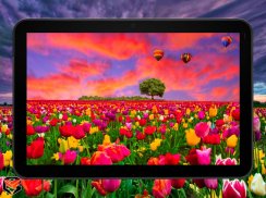 Flower Fields Live Wallpaper screenshot 12