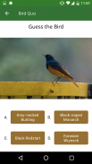 Vasai Birds screenshot 12