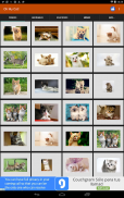 Cat wallpapers and funny pics screenshot 5