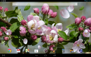 Spring Flower Live Wallpaper screenshot 2