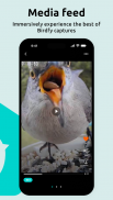 Birdfy screenshot 4