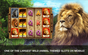 Wild Casino Slots screenshot 1