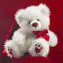 Cute Teddybear Wallpapers 2020