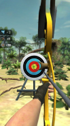 Archery Shooting-Bow and Arrow screenshot 5