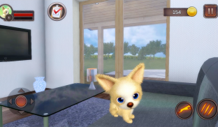 Chihuahua Dog Simulator screenshot 20