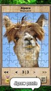 Animal Kingdom - Quiz Game screenshot 6