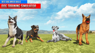 Dog Training: Dog Games screenshot 5