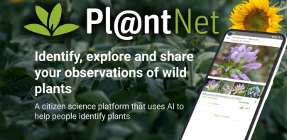 Pl@ntNet plantenidentificatie