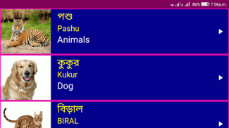 Learn Bengali From English screenshot 4